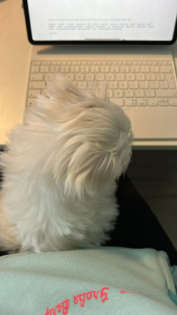 29-9-25 samen werken met mama